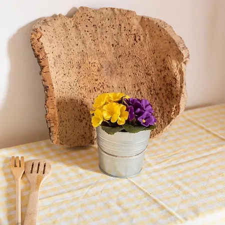 Maison Ricci - Rooftop Flat *